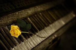 Morbo di Parkinson: il ruolo predisponente dei disturbi del sonno